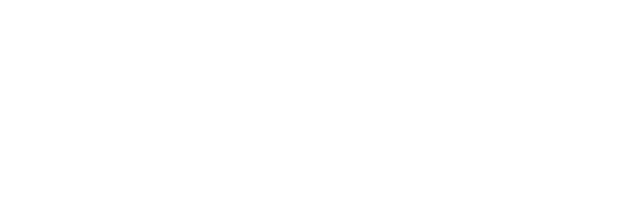 VTECH International